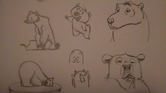 Bear Sketches 2